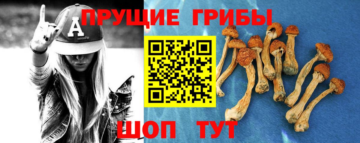 Галлюциногенные грибы GOLDEN TEACHER  где купить наркоту  Туапсе  Вход с VPN 